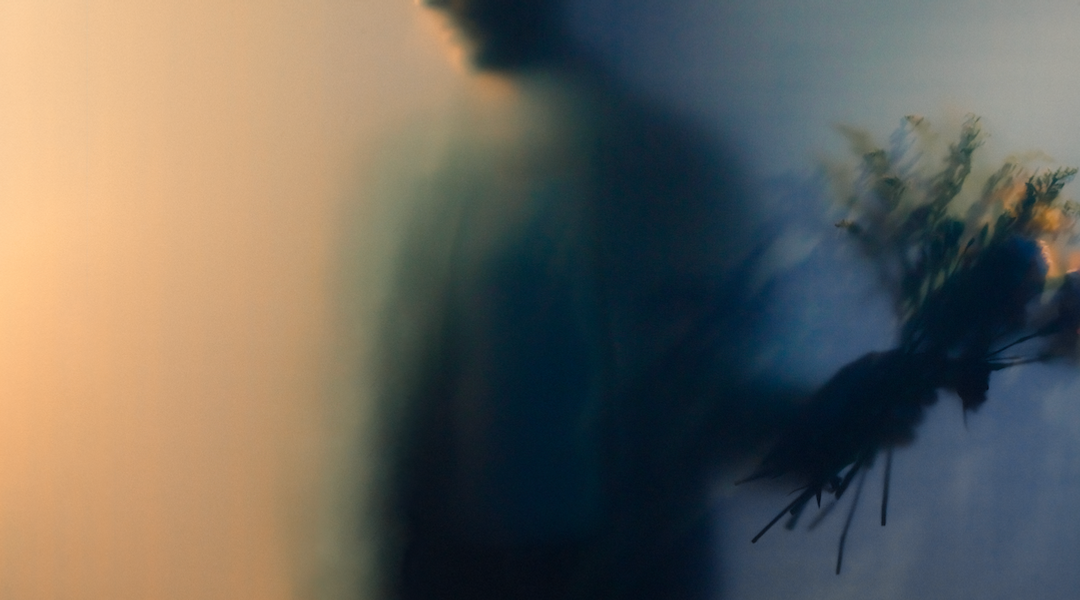 Silhouette holding flowers against colorful background