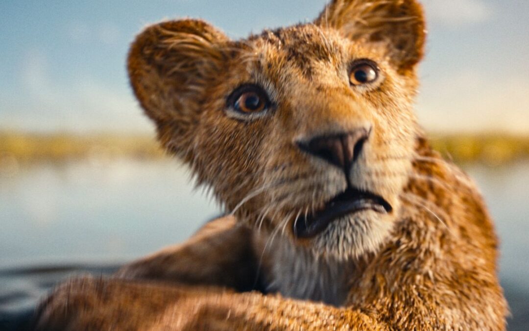 El nuevo CGI “Estético” de Mufasa deja a los artistas de efectos visuales mezclados en comparación con el Rey León de acción real