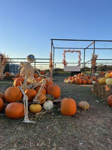 High Hope Harvest Festival apoya las operaciones del rancho