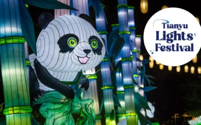 Festival de las luces de Tianyu Fénix
