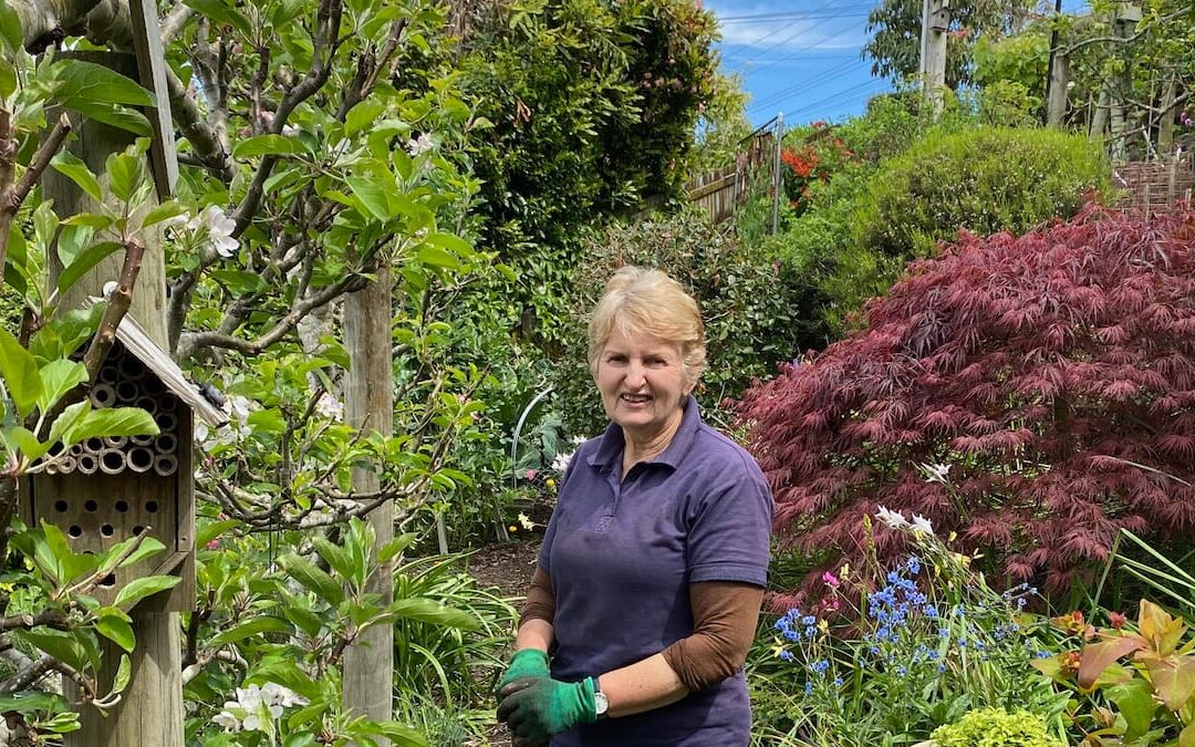 El hogar donde se practica la jardinería sostenible ‘con creces’
