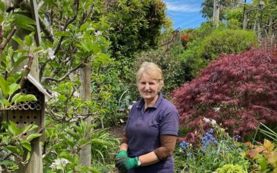 El hogar donde se practica la jardinería sostenible ‘con creces’