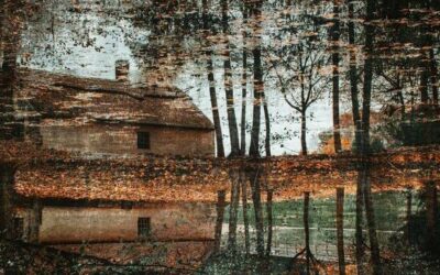 La 69ª Exposición Anual de Artistas del Centro de Washington en la Galería Larson este noviembre | Explorar Yakima