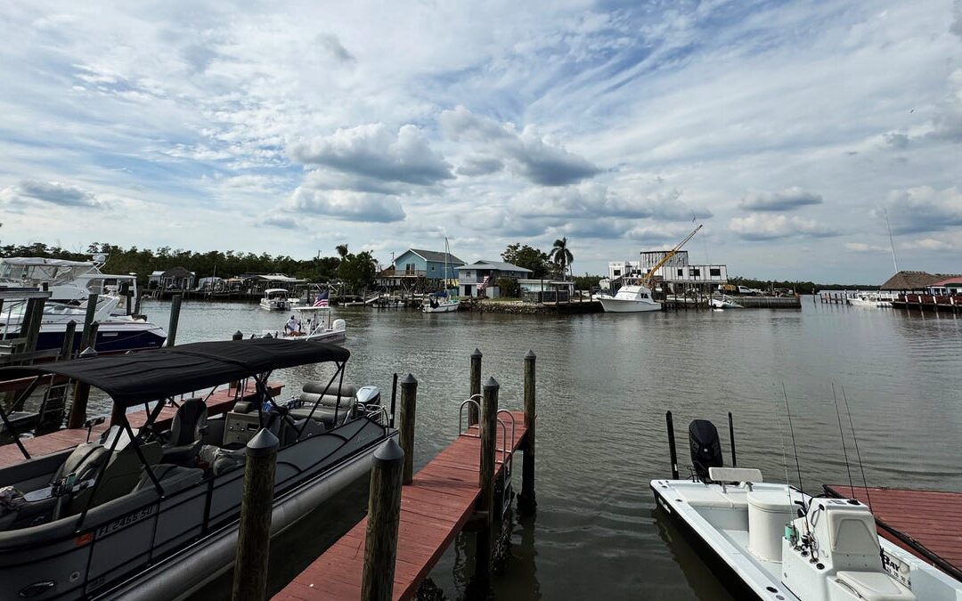 Boats docked at a marina under cloudy sky.
