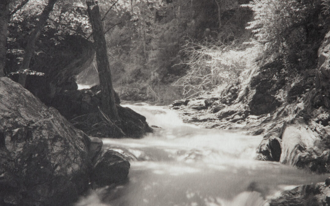 NXT Gallery presenta fotografías de Nick Ellison