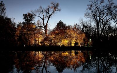 ¿Necesitas una noche fresca? Dirígete a InLight para ver arte, camiones de comida y un desfile de faroles