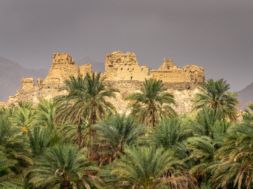 Ancient ruins behind lush palm trees, cloudy sky above.