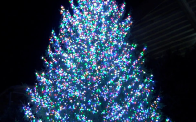 El festival anual de iluminación de árboles de Uptown está a la vuelta de la esquina: lo que debe saber