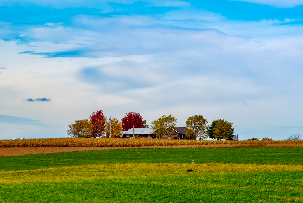 El fotógrafo local Drew Golden: capturando la acción, los recuerdos y el momento de cada jugador