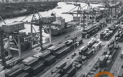 Las tendencias culturales de fusión de alimentos son una oportunidad para aumentar la demanda