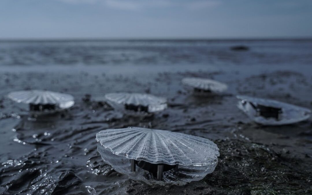 Esculturas sonoras cinéticas en forma de almeja cantan la calidad del agua