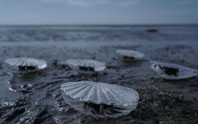 Esculturas sonoras cinéticas en forma de almeja cantan la calidad del agua