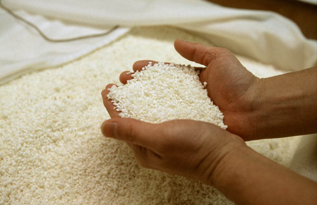 Hands holding rice grains