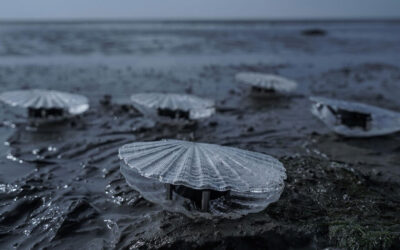 Las esculturas sonoras cinéticas convierten datos de cuerpos de agua en paisajes sonoros en evolución.