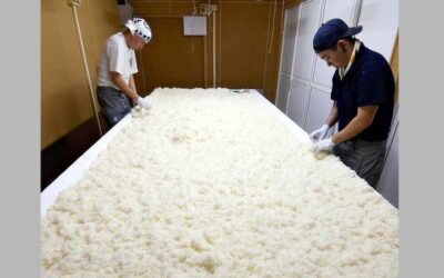 Elaboración de sake para ganar la designación de patrimonio cultural inmaterial de la UNESCO