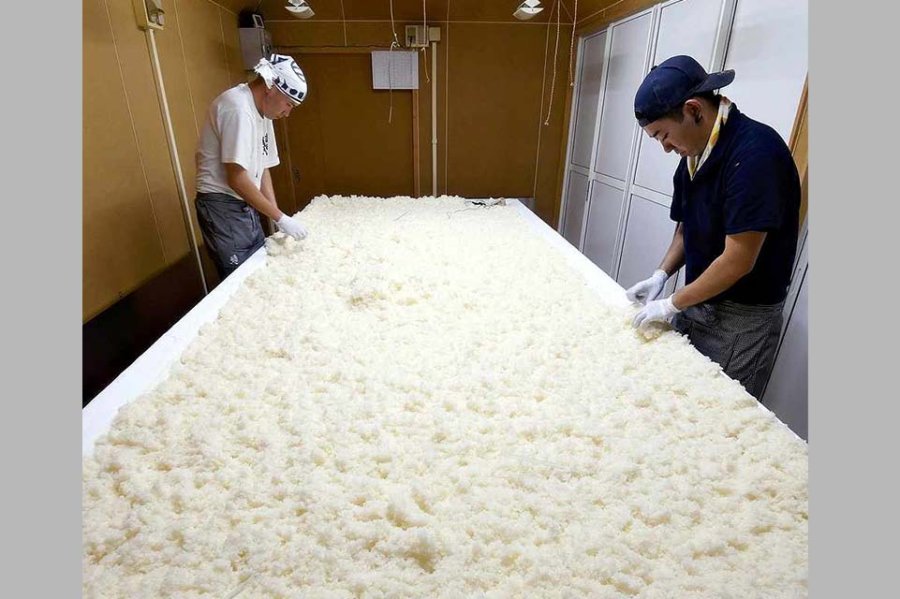 Elaboración de sake para ganar la designación de patrimonio cultural inmaterial de la UNESCO