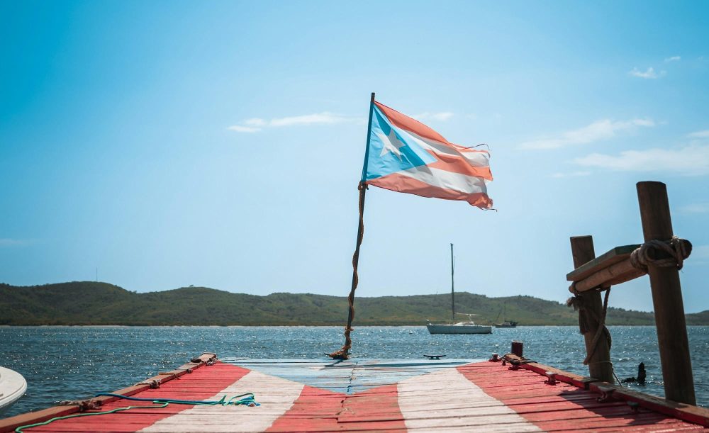 8 colecciones de poesía urgentes sobre la resistencia puertorriqueña