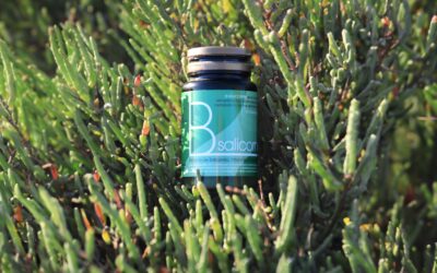 Salicornia: el superalimento de las marismas que revoluciona la salud cardiovascular