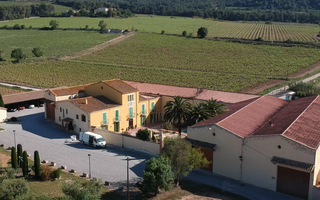 Xarel·lo 2024 de Celler Parató: Tradición, Frescura y Sostenibilidad en el Corazón del Penedès