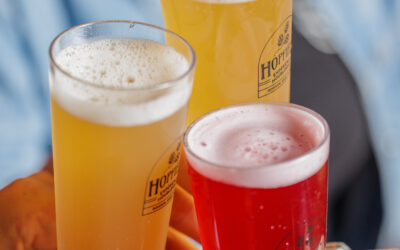 Hopfield: la bebida sin alcohol con lúpulo para adultos que buscan sabor y equilibrio