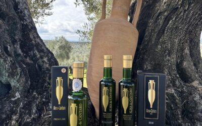 Aceite de Oliva Virgen Extra Ecológico Picual: Excelencia Mediterránea desde los Olivos Centenarios